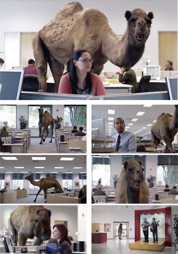 「Hump Day」毎週水曜に必ずシェアされる動画