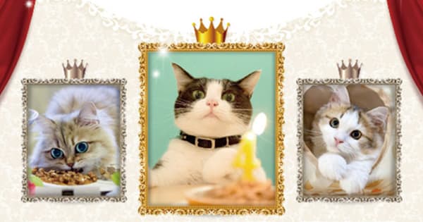 飼い主の親心をくすぐる、ペット関連業界のプロモーション(前編)