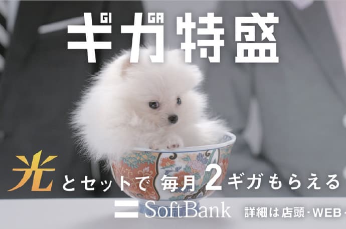 マーケティング力の高い企業はどう見ている?広告の投資効果と投資効率―ソフトバンク