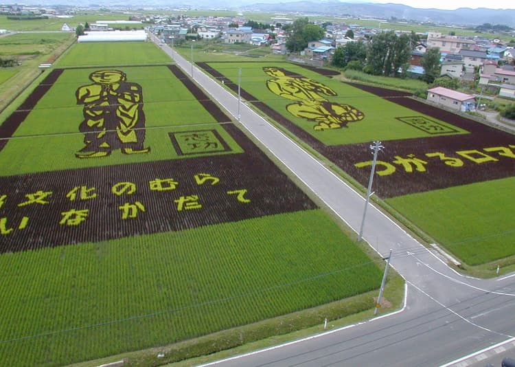 「田んぼアート」による観光地づくり 失敗を乗り越え、見学者数増加と有料化の決断へ