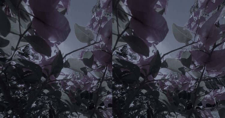 沢渡朔、野村佐紀子の写真をVRで体験