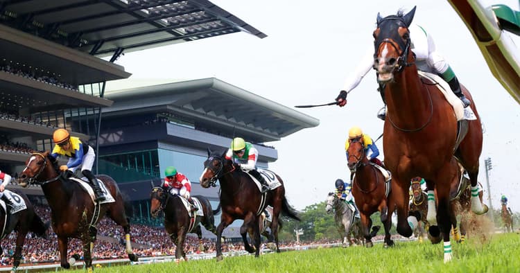 競馬未経験の若者を競馬場へ JRA「HOT HOLIDAYS!」