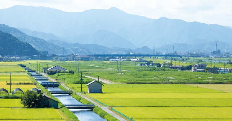 令和時代の「なつかしさ」マーケティング なつかしさが消費者に及ぼす影響