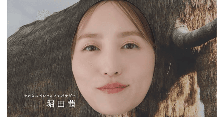 合併20周年を機にPR 「セイ」な魅力を発信「セイ、いっぱい! 西予市」