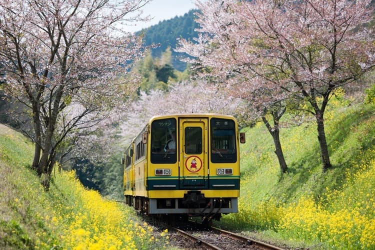 廃止寸前から立て直した千葉県・いすみ鉄道 「非日常」を地域の価値と捉えよう