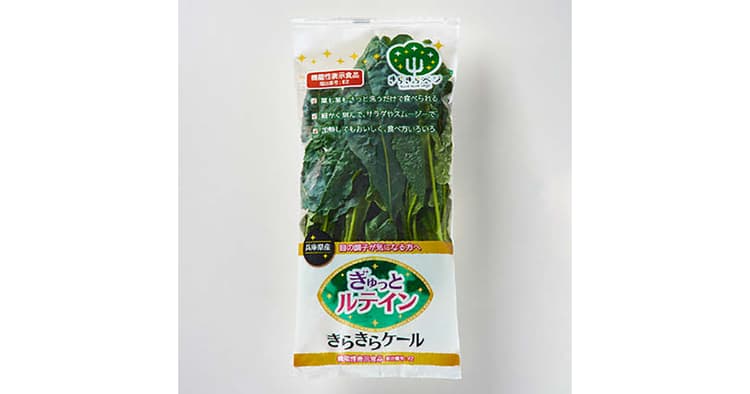 ガラスびんメーカーがSDGs起点で野菜の生産事業に参入!