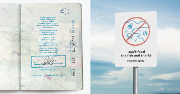 カンヌ2018グランプリ早わかりー「Palau Pledge」「Trash Isles」「It’s a Tide Ad」