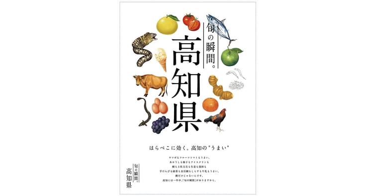 カタログから派生した広告・コンテンツ
