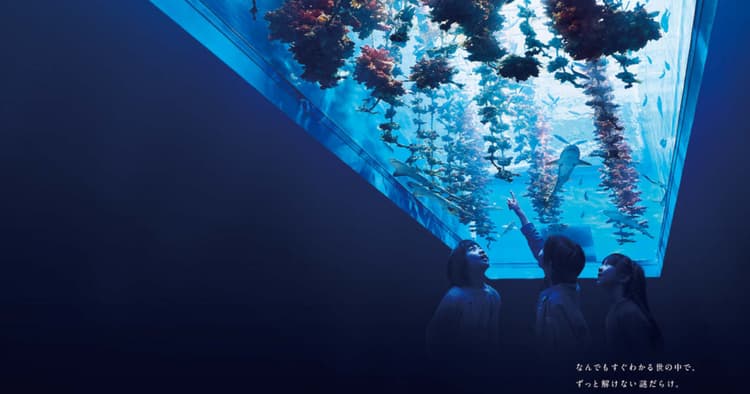 知的好奇心を刺激される水族館