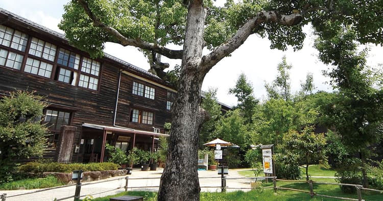 住人が運営する観光拠点 地域づくりから人気スポットへ