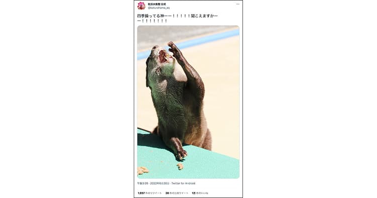 人気投稿に学べ!(桂浜水族館・串戸保育園・モーリーファンタジー)