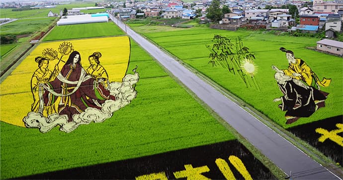 「田んぼアート」による観光地づくり 逆転の発想で「待ち時間」活用