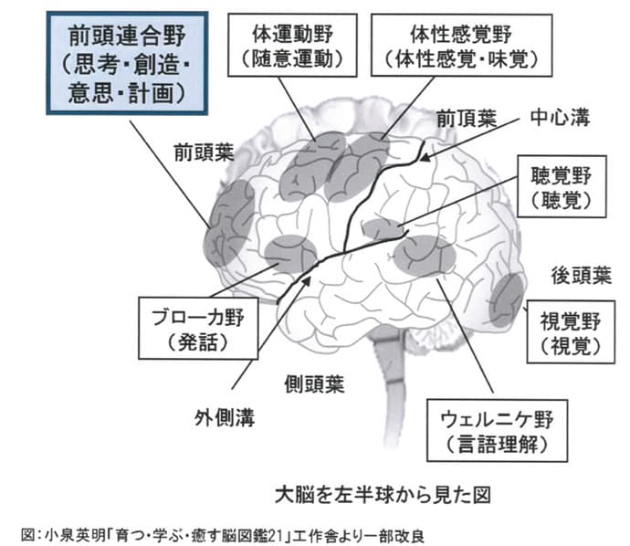 「脳の可視化」ってどういうこと?―2014年注目のSPキーワード(7)