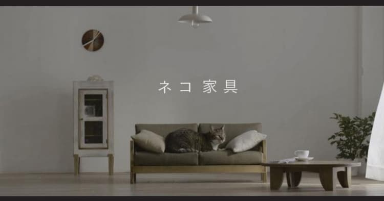 福岡県大川市「ネコ家具」など10~11月に公開されたPR動画の効果