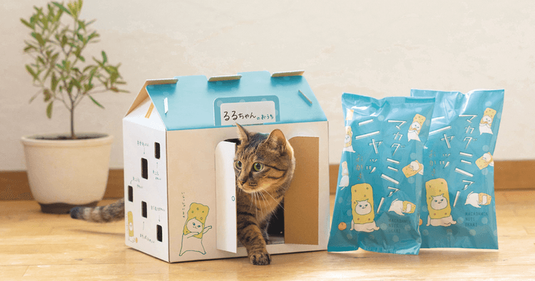 新潟味のれん本舗「マカダミアニャッツBOX」
