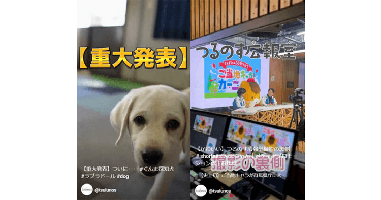 県庁に動画・放送スタジオを開設 約3年間で5000本以上の動画を制作
