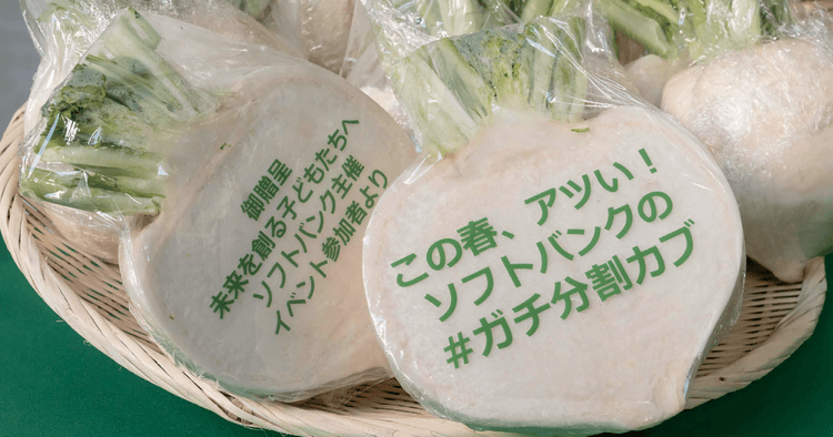 半分に「分割」した「かぶ」を通じて株式投資の魅力を伝えるイベント