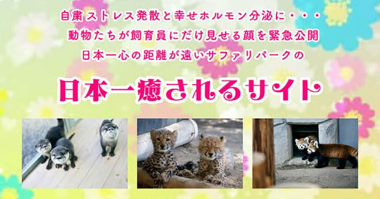 社会の感情を読み取り 低予算でもバズるキャンペーンに