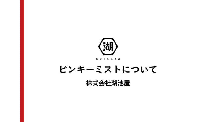 湖池屋「ピンキーミスト」の企画書