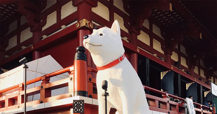 神社に巨大な「お父さん像」が登場!戌年にちなんだソフトバンクのプロモーションが話題