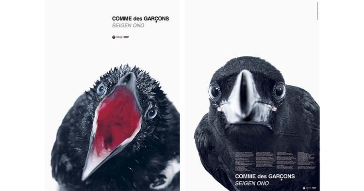 「白鳥真太郎 広告写真館」他、注目の展覧会