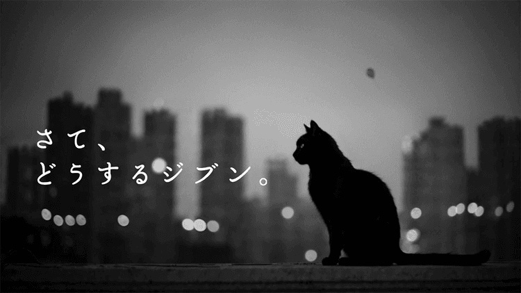 クレディセゾン/ SAISON AMERICAN EXPRESS CARDセゾンAMEX カード「風景と風船」篇 テレビCM、Web動画