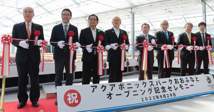 事業の進捗に合わせた発信で本格開始時の話題を最大化