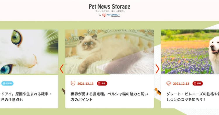 獣医師監修のもと正確性を担保した記事を配信 CSRとプロモーションの両立を図る