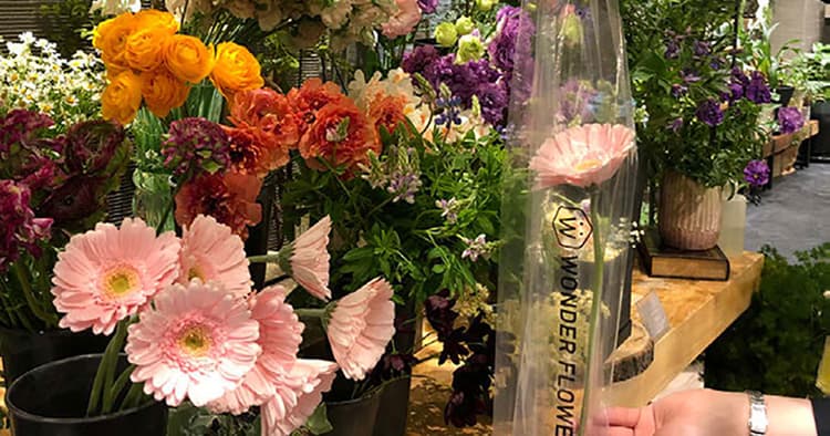 毎日お花がもらえるサブスクで花屋に通う新習慣をつくる