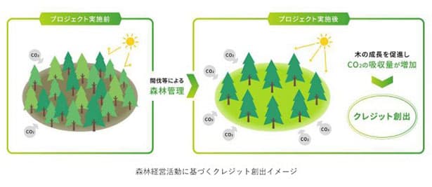 東急不動産がJ-クレジット認証 総合デベロッパー初