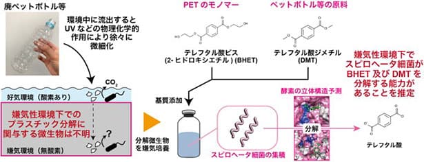 産総研、PET関連物質を嫌気性分解
