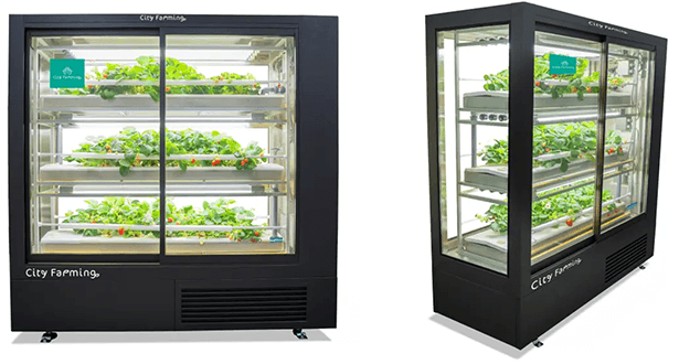日販と日清紡、書店やカフェに「いちご植物工場」