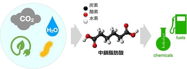 日本製鉄、CO2から有用化学品を製造 微生物利用