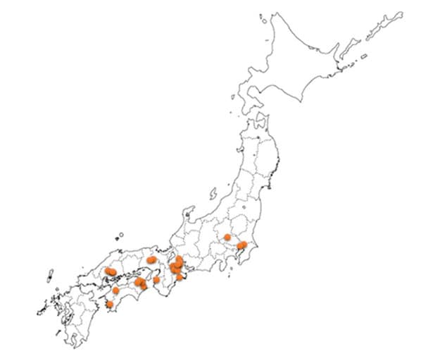 大阪ガスら、47カ所・計17MWの太陽光発電開発