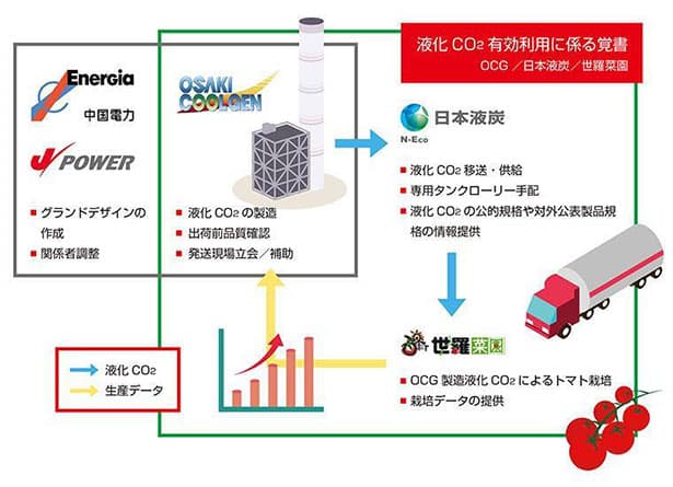 発電所から回収したCO2を液化・輸送 トマト栽培に