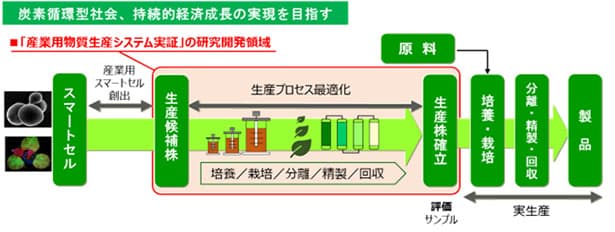 NEDO、バイオ由来製品の実用化へ6事業を採択