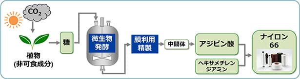 東レ、非可食バイオマスからナイロン原料製造