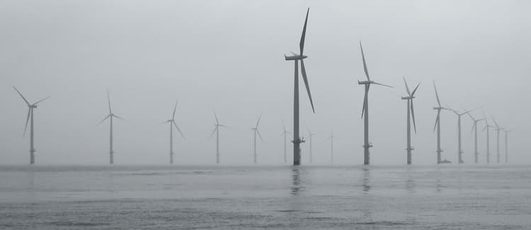 【英国】洋上風力発電の海鳥への影響調査を開始