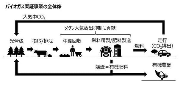 スズキ、印でバイオガス実証 牛の排泄物から自動車燃料
