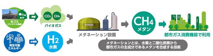 ライフ、メタネーション実証に参画 食品残渣を提供