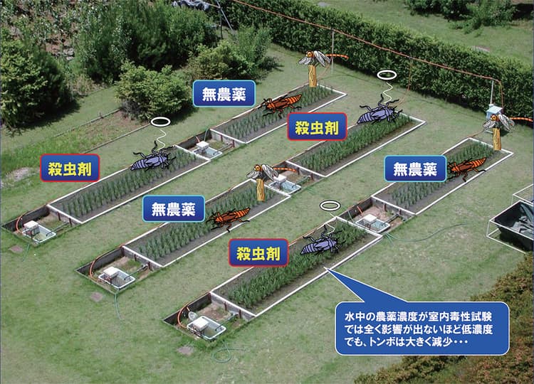 みどりの食料戦略への提言 農薬による昆虫多様性影響(後編)