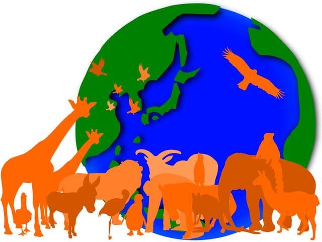 生物多様性の世論調査、認知度は過去最高の7割 一方で課題も