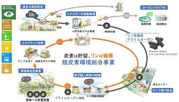 フジタ、農地への炭素貯留検証 バイオマス発電も実施