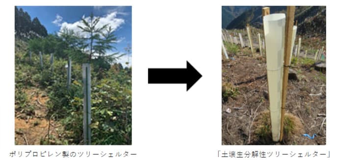 アキレスと住友林業、生分解性の「ツリーシェルター」開発
