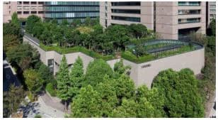三井住友海上ら、企業の緑地化を支援