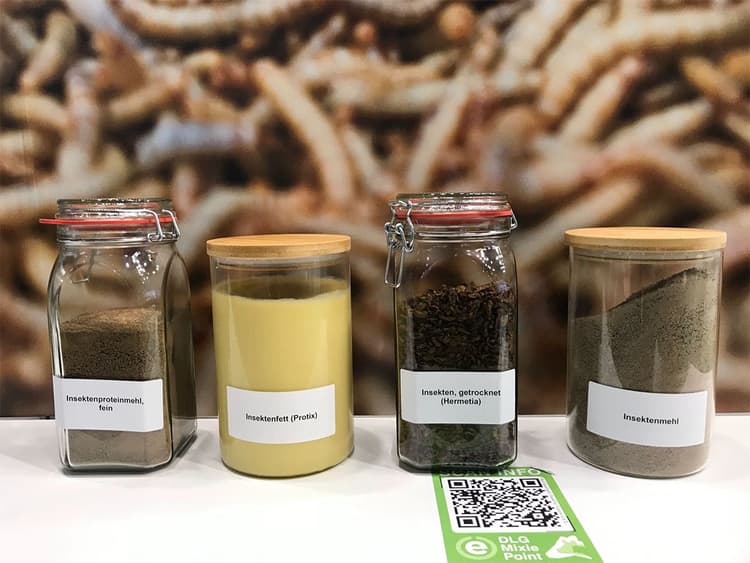 昆虫食は持続可能な世界の一助になるか