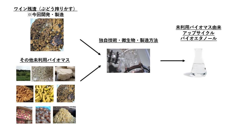 ワイン搾りかす由来のエタノールを製造・商用化 ファーメンステーション