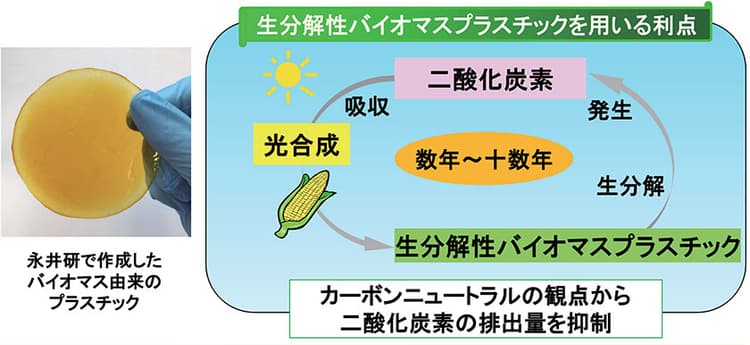 研究者に聞く、プラスチックの可能性 「バイオプラ、正確な理解を」