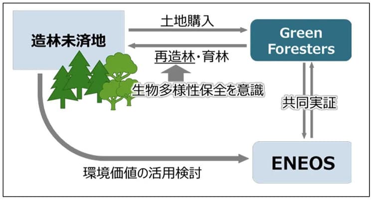 ENEOSら、造林未済地の再生スキーム構築へ 共同研究開始
