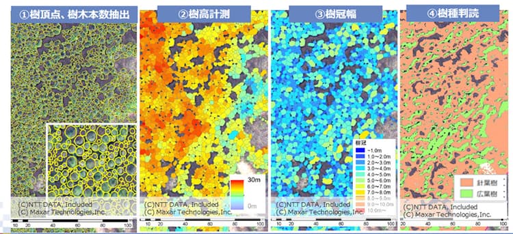 名古屋大学・NTT西ら、「森林クレジット」発行に衛生画像データ活用へ